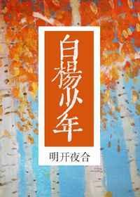 白杨少年TXT百度资源