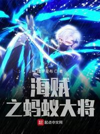 海贼王之将