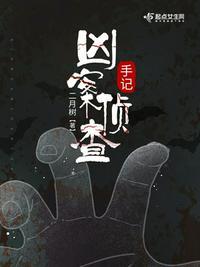 凶案侦查手记TXT百度