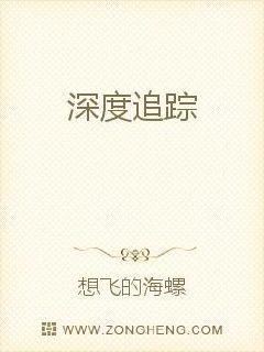 电视剧深度追击