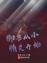 御兽进化系统流
