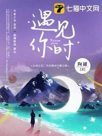 遇见你的下一句是什么