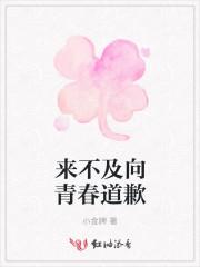 来不及叹息