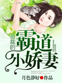 霸道总裁追妻记免费阅读