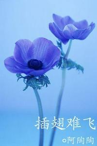 沈初云陆进帝都