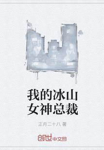 我的冰山女总裁人物