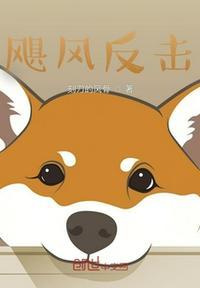 飓风现场