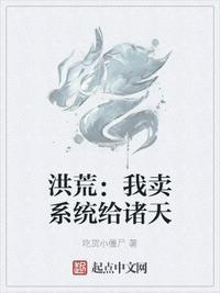 我卖系统的