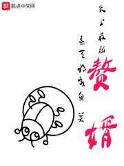 史上最强赘婿最新