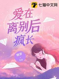 爱在离别后疯长陆颜宁