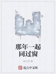 我们一起疯狂的那年