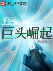 重生之it巨头崛起