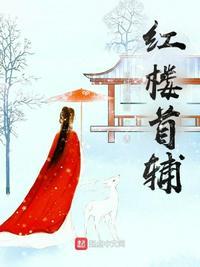 红楼首辅林枢结局是什么