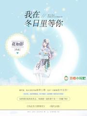 我在冬天的中央等你