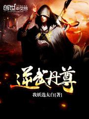 逆武丹尊境界介绍