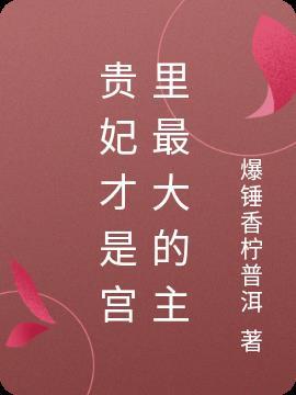贵妃是皇上的什么人