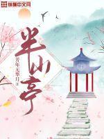 闸山半山亭