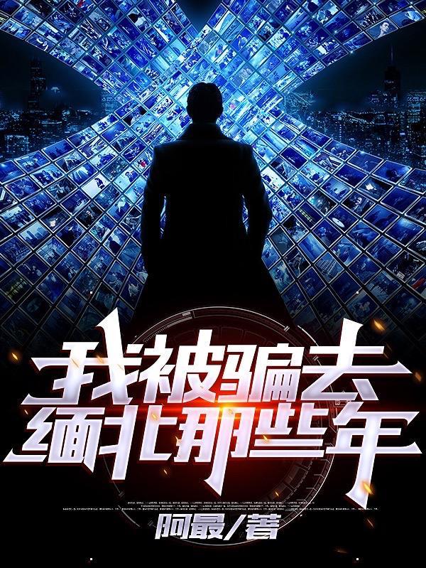 我被骗去缅北那些年动画