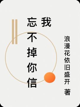 忘不掉你的是我歌词