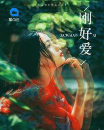 刚好爱上你电视剧剧情