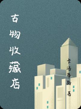 古玩收藏公司