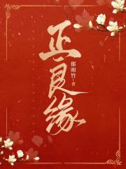 正良缘 郁雨竹讲的什么
