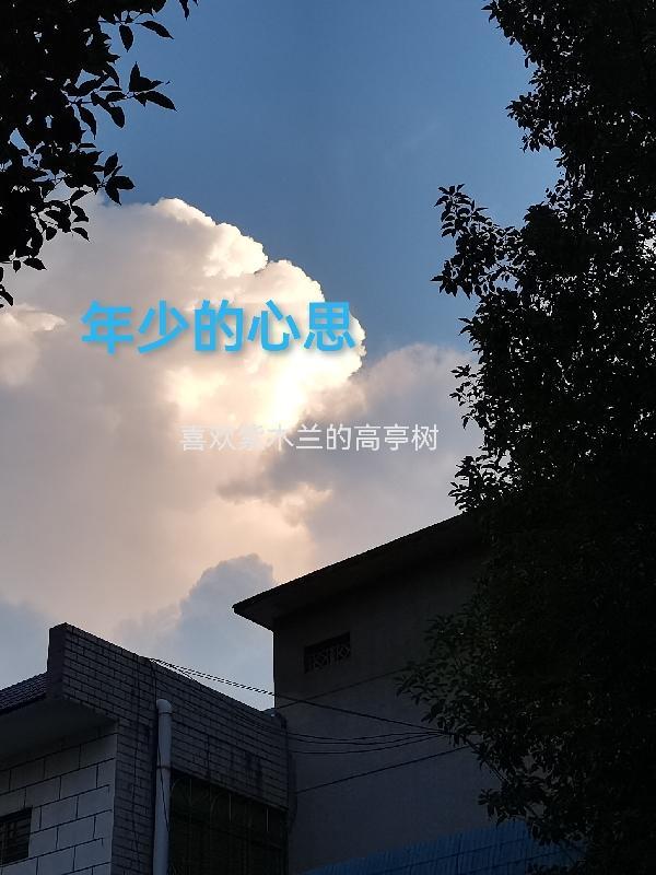 年少的心态柔软的歌词
