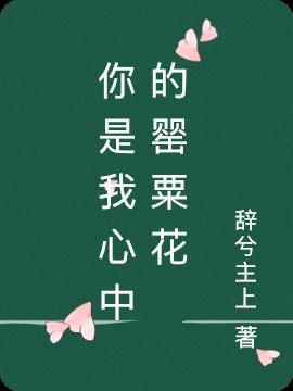你是我心中的花是什么歌