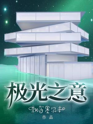 极光之意讲什么