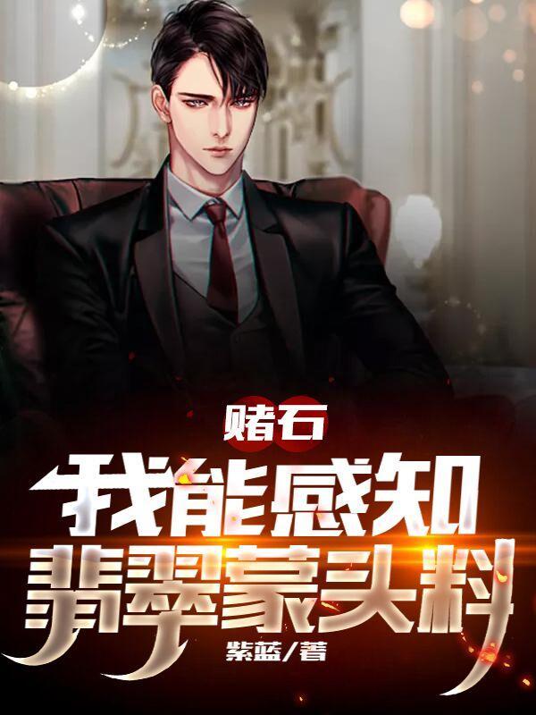 翡翠赌石 案例