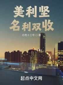 美利坚名利双收完整版