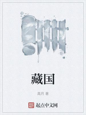 藏国高月百度百科