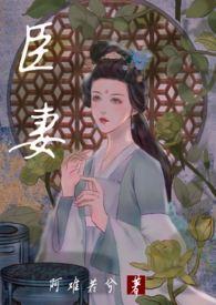 臣妻讲了什么