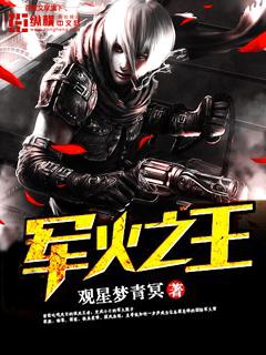 崛起港综从洪兴大佬到军火之王