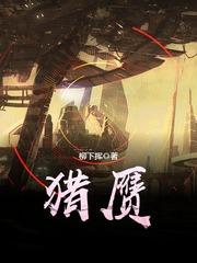 猎赝电影免费