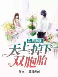 天上掉下帅哥总裁