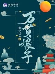 万贯娘子男主是顾舟停吗
