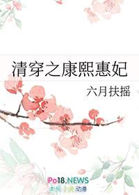 清穿之康熙惠妃沉
