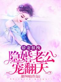 总裁老公心机深甜四娘