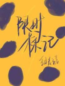 限时标志的时间单位