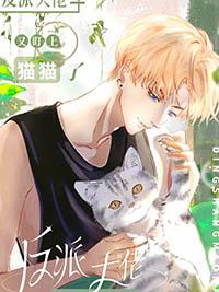 漂亮猫的品种
