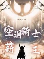 空洞骑士薪王