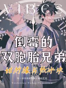 泰剧双胞胎兄弟电视剧