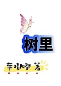 从农村包围城市(H)