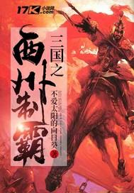 三国之西州制霸 聚合中文网