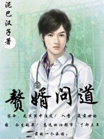 赘婿文套路总结