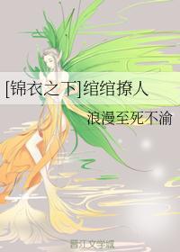 锦衣之下阅读