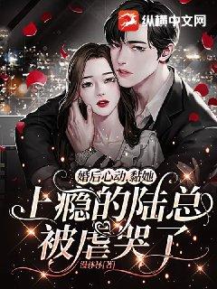 陆总gl