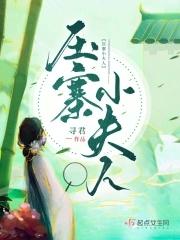 压寨小夫人四月