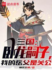 我打造了千年大汉 神纹本神